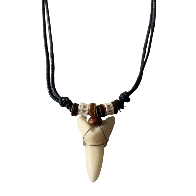 Bimini Shark Tooth Choker – Joolz by Martha Calvo